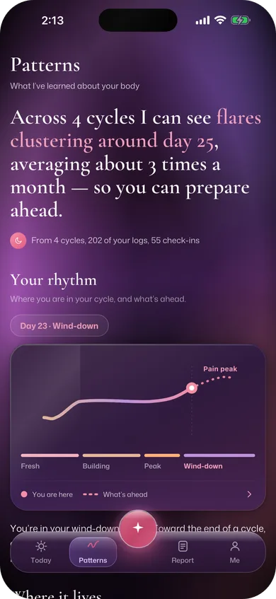 Patterns: flares clustering around day 25 across four cycles, with her pain rhythm through the cycle.