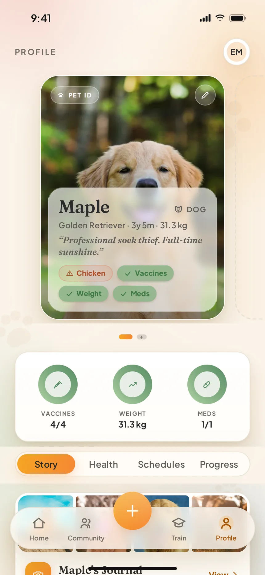 PawPal pet profile card for Maple, a three-year-old Golden Retriever, with health status badges